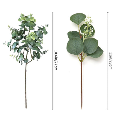 Evergreen Eucalyptus Stems