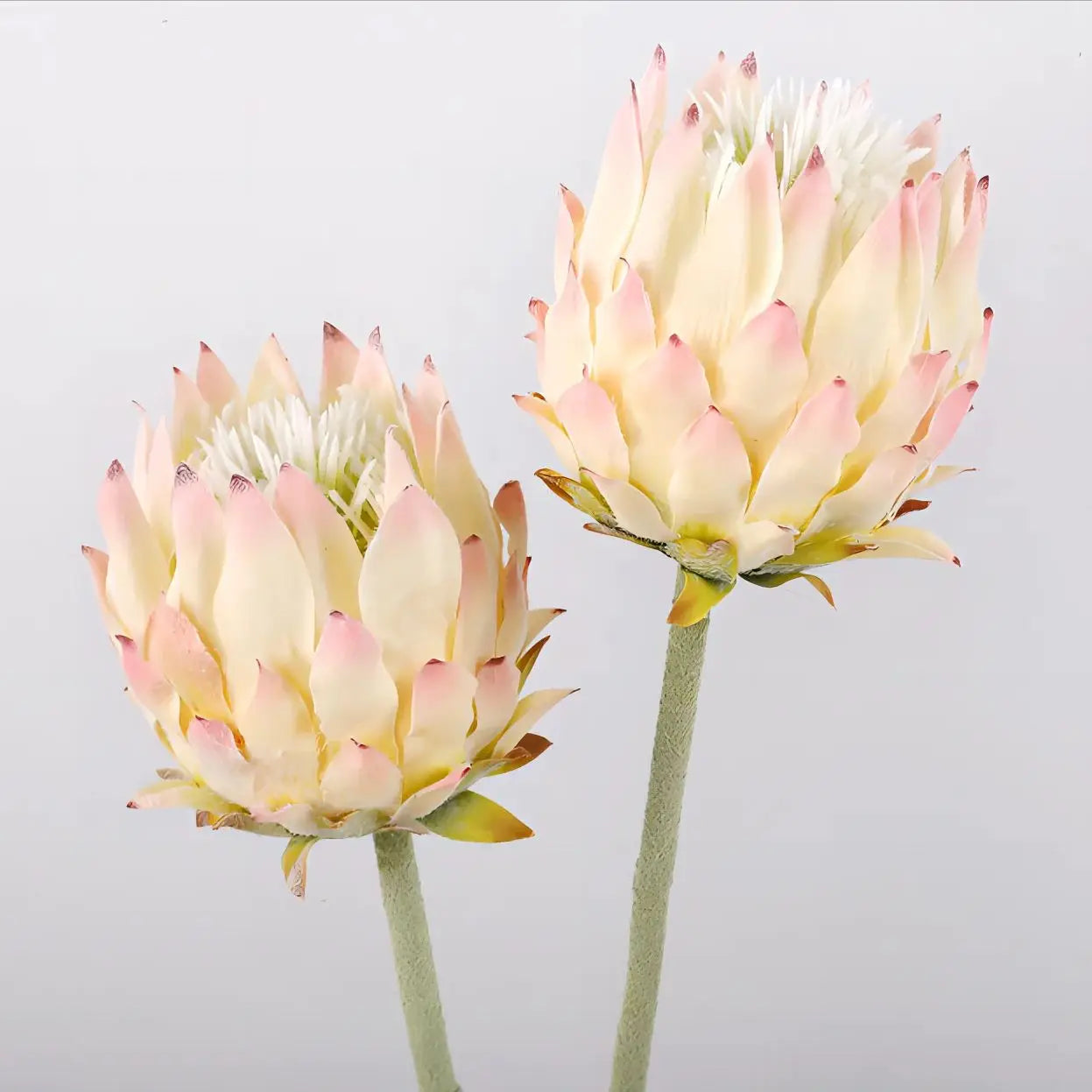 Nordic Bloom Artichoke