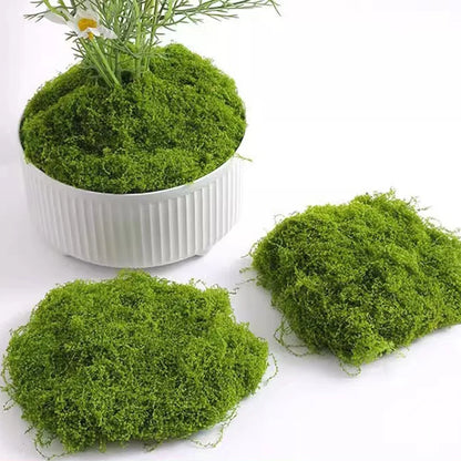 Ever Green Moss Touch